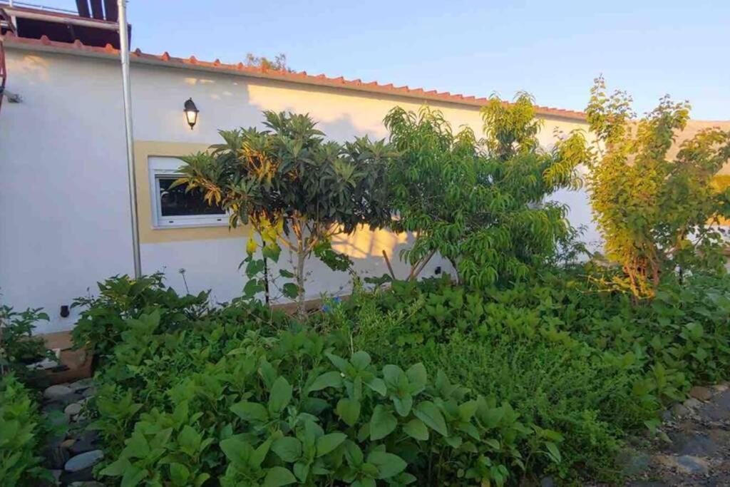 Cape Maleas Villa Agios Nikolaos  Екстериор снимка